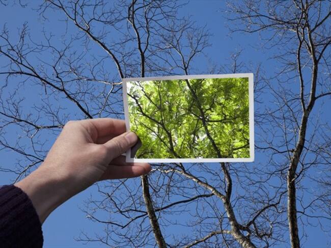 ¿Qué necesita un cambio en Colombia o en el mundo?. Foto: Getty Images / THOMAS JACKSON