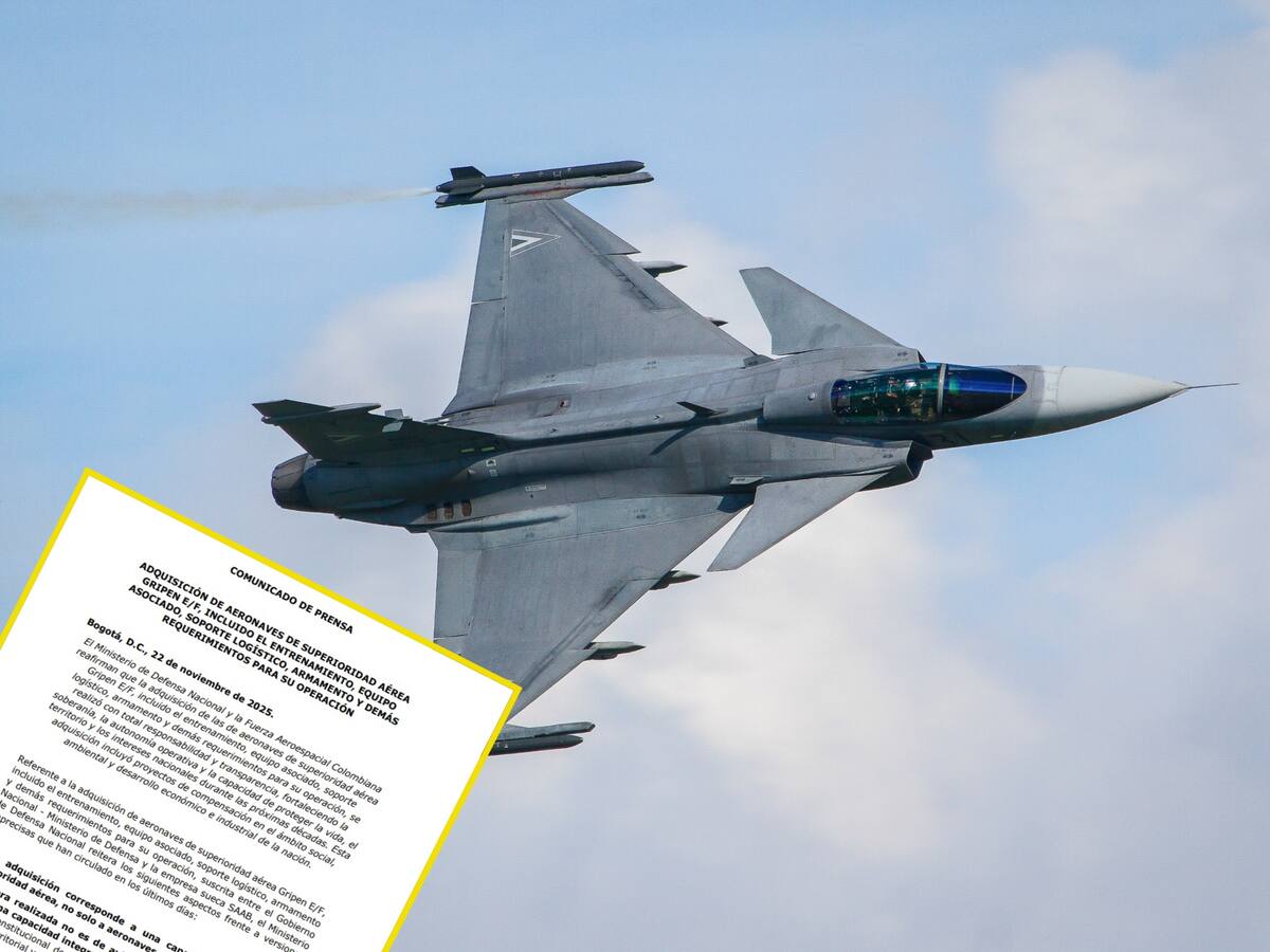 MinDefensa afirma que compra de aviones Gripen se hizo con “responsabilidad y transparencia”