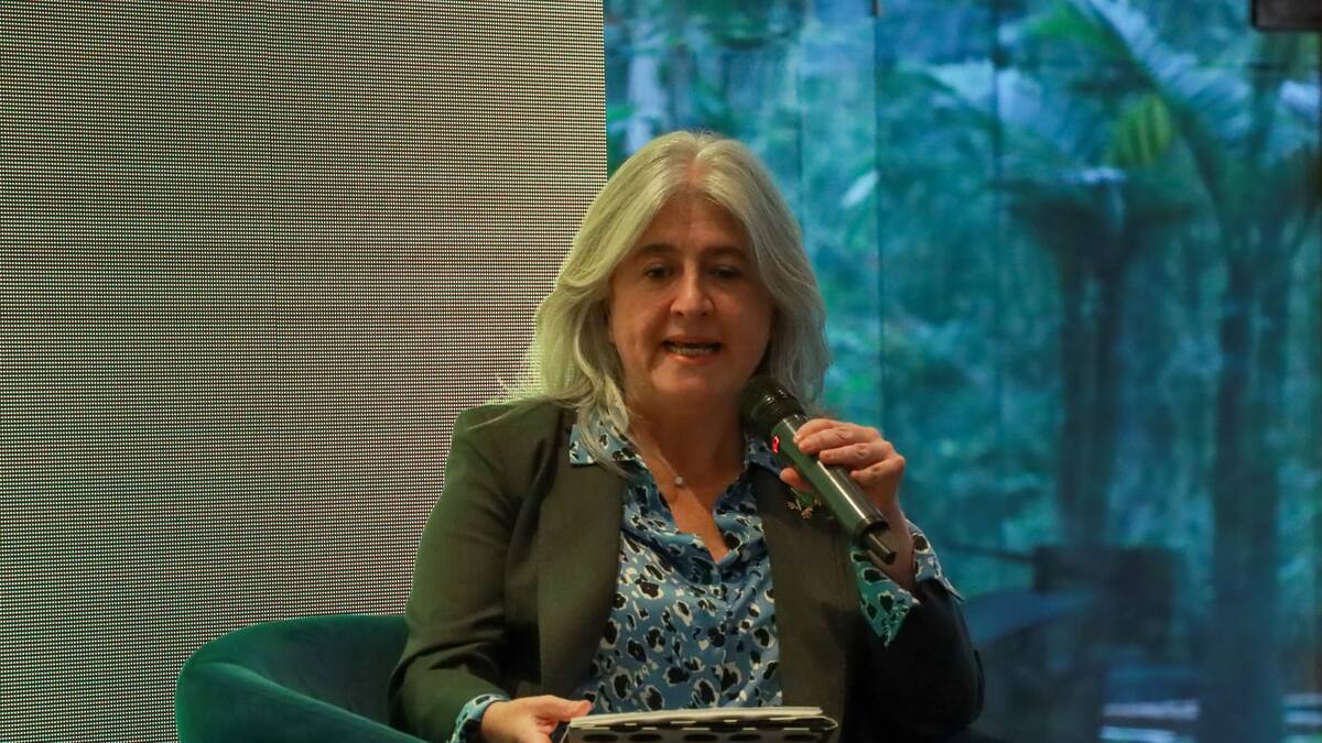 Subsidio preasignado iniciará en 2024: ¿Cómo funcionará?, esto dijo Minvivienda