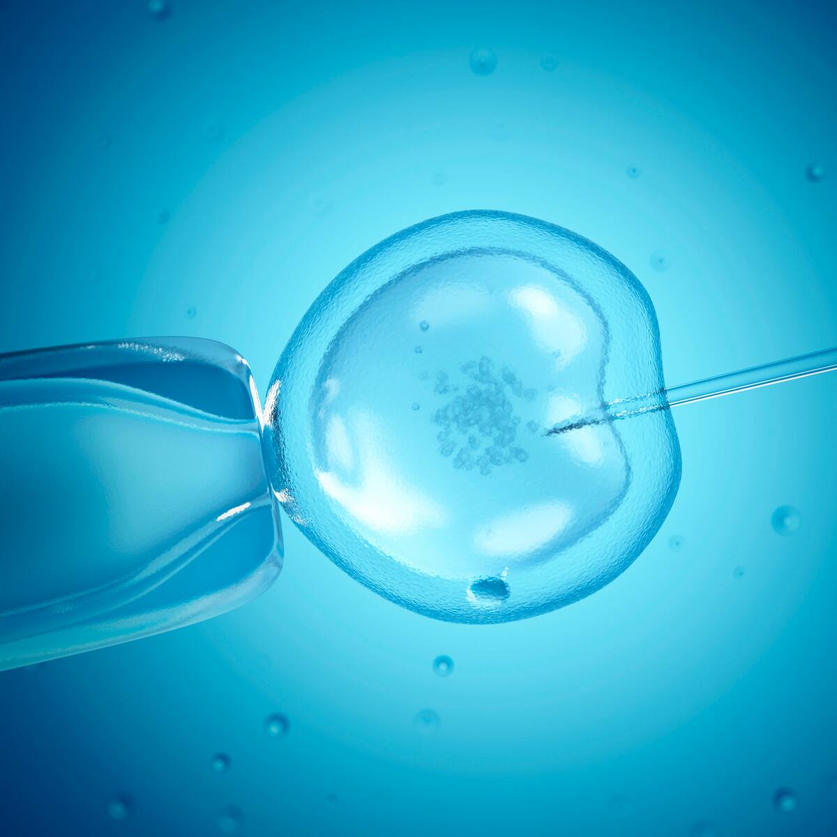 Corte Constitucional ordenó al Gobierno regular la fecundación in vitro