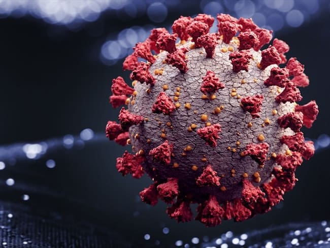 Esta familia de virus se descubrió en la década de los 60. Foto: Getty Images