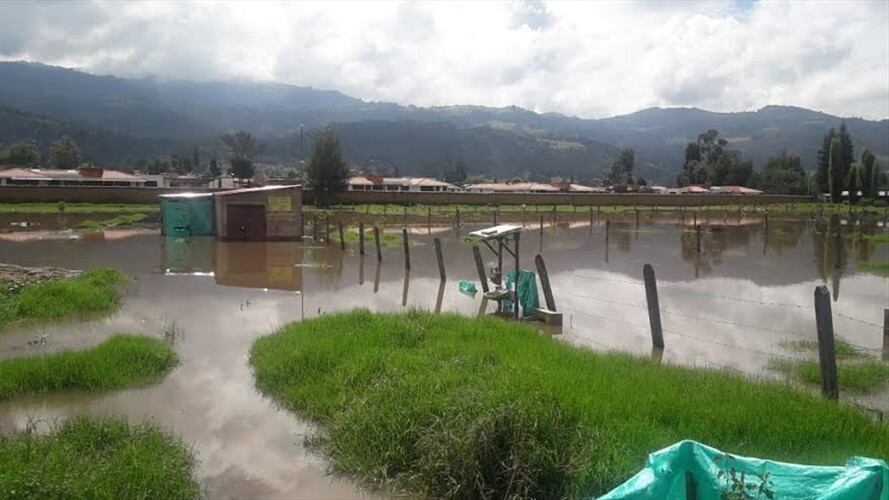Fueron 14 viviendas afectadas por inundaciones y caída de árboles.. Foto: Alcaldía de Sogamoso