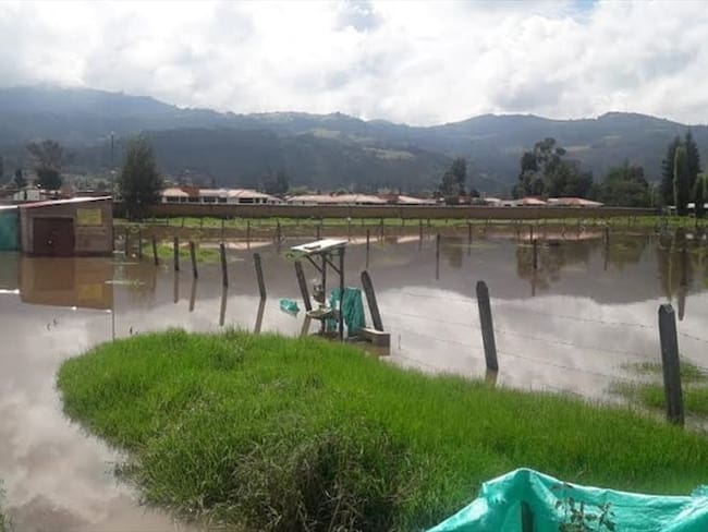 Fueron 14 viviendas afectadas por inundaciones y caída de árboles.. Foto: Alcaldía de Sogamoso
