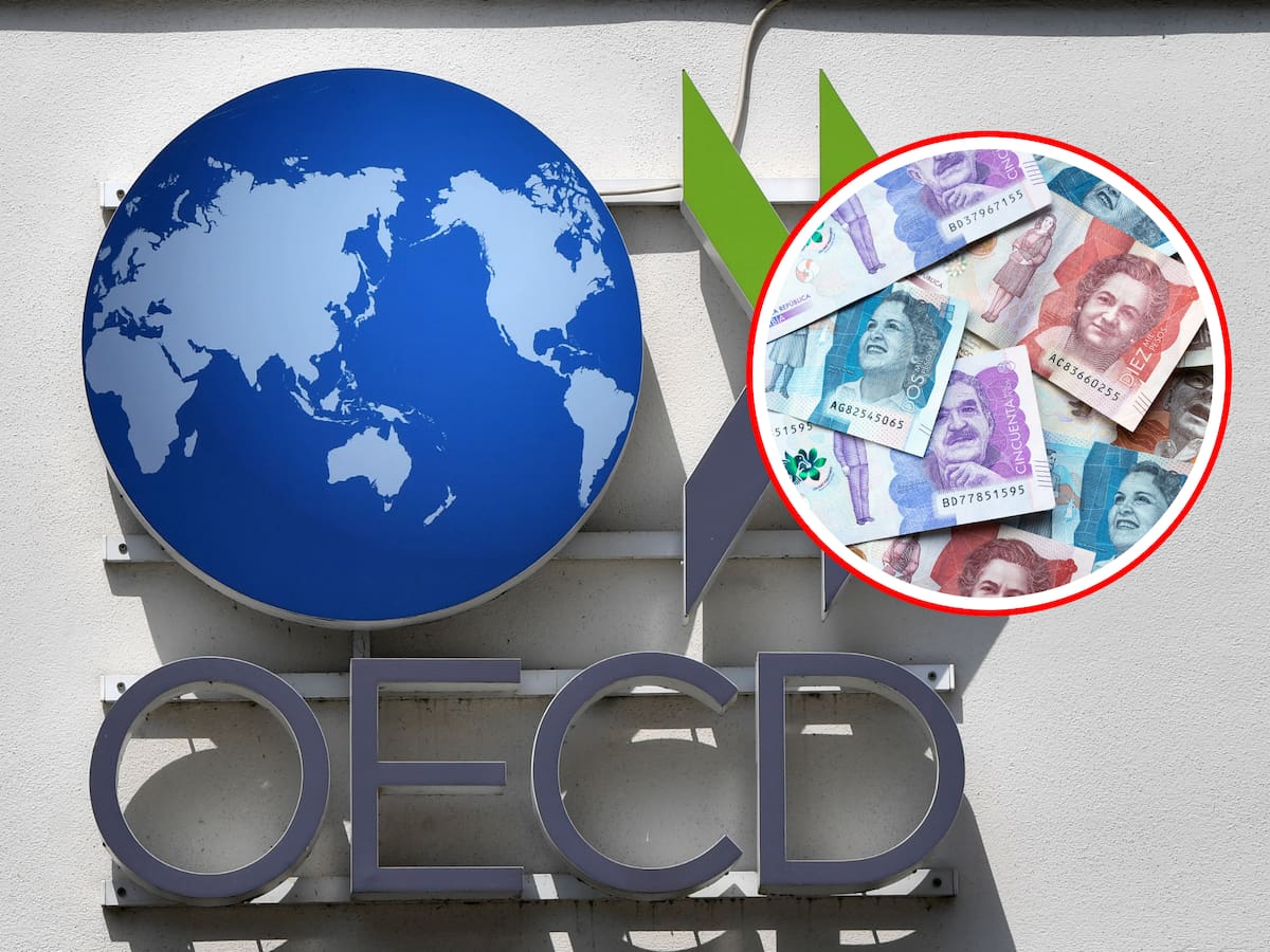 Colombia tiene el segundo sistema tributario menos competitivo de la OCDE