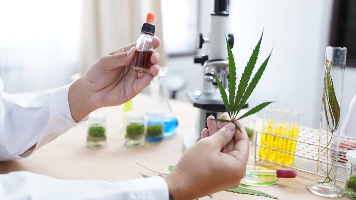 “Es una irresponsabilidad”: Raquel Peyraube sobre la posibilidad de prevenir el COVID-19 con cannabis