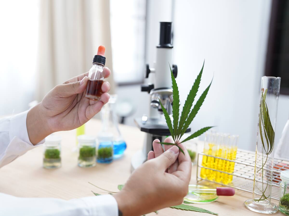 “Es una irresponsabilidad”: Raquel Peyraube sobre la posibilidad de prevenir el COVID-19 con cannabis