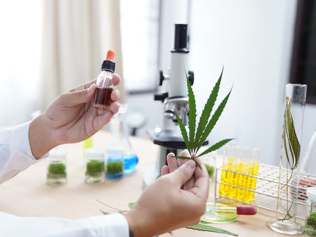 “Es una irresponsabilidad”: Raquel Peyraube sobre la posibilidad de prevenir COVID-19 con cannabis