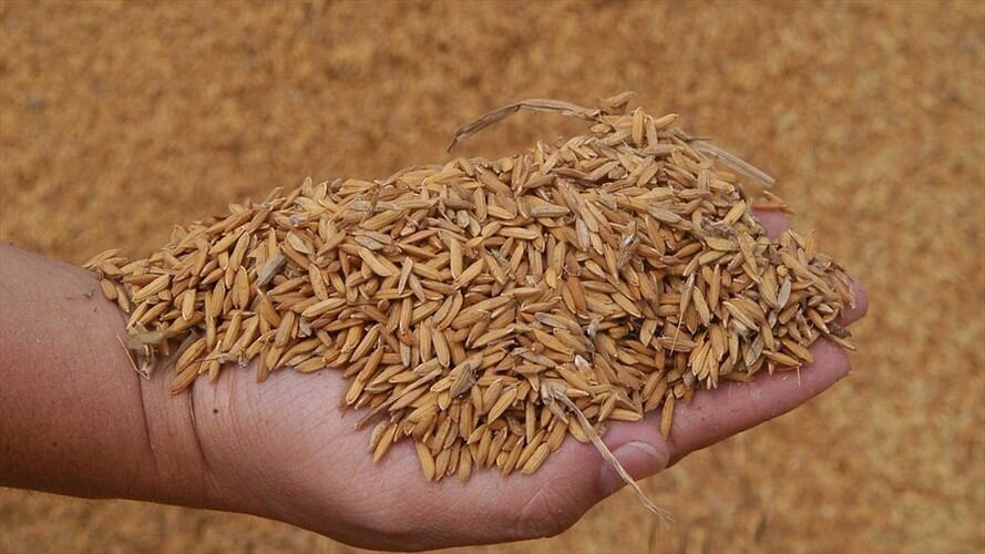 Bloqueos en el país provocan desabastecimiento de arroz y azúcar en Santa Marta. Foto: Colprensa