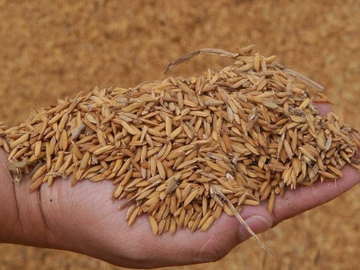 Bloqueos en el país provocan desabastecimiento de arroz y azúcar en Santa Marta