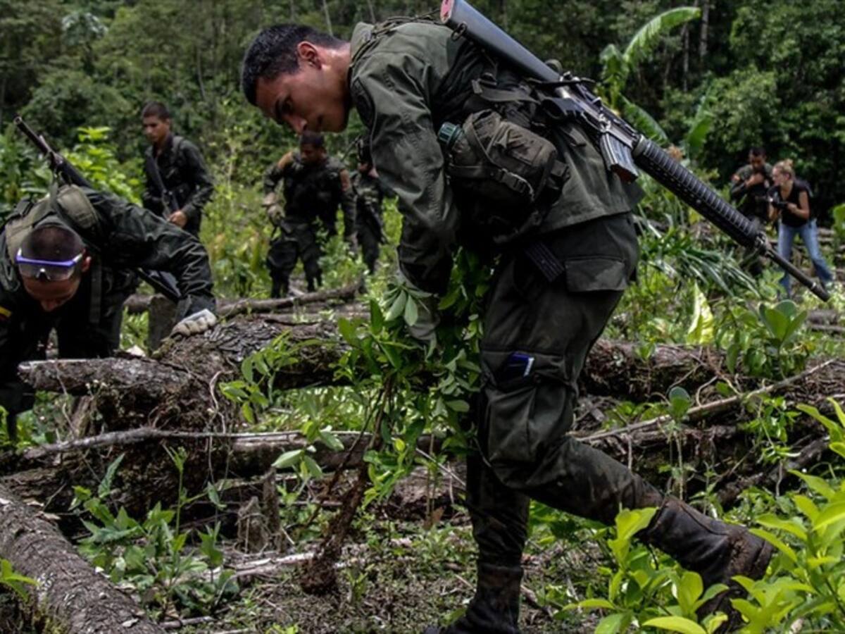 Asamblea pide evitar erradicación de cultivos ilícitos en Argelia, Cauca