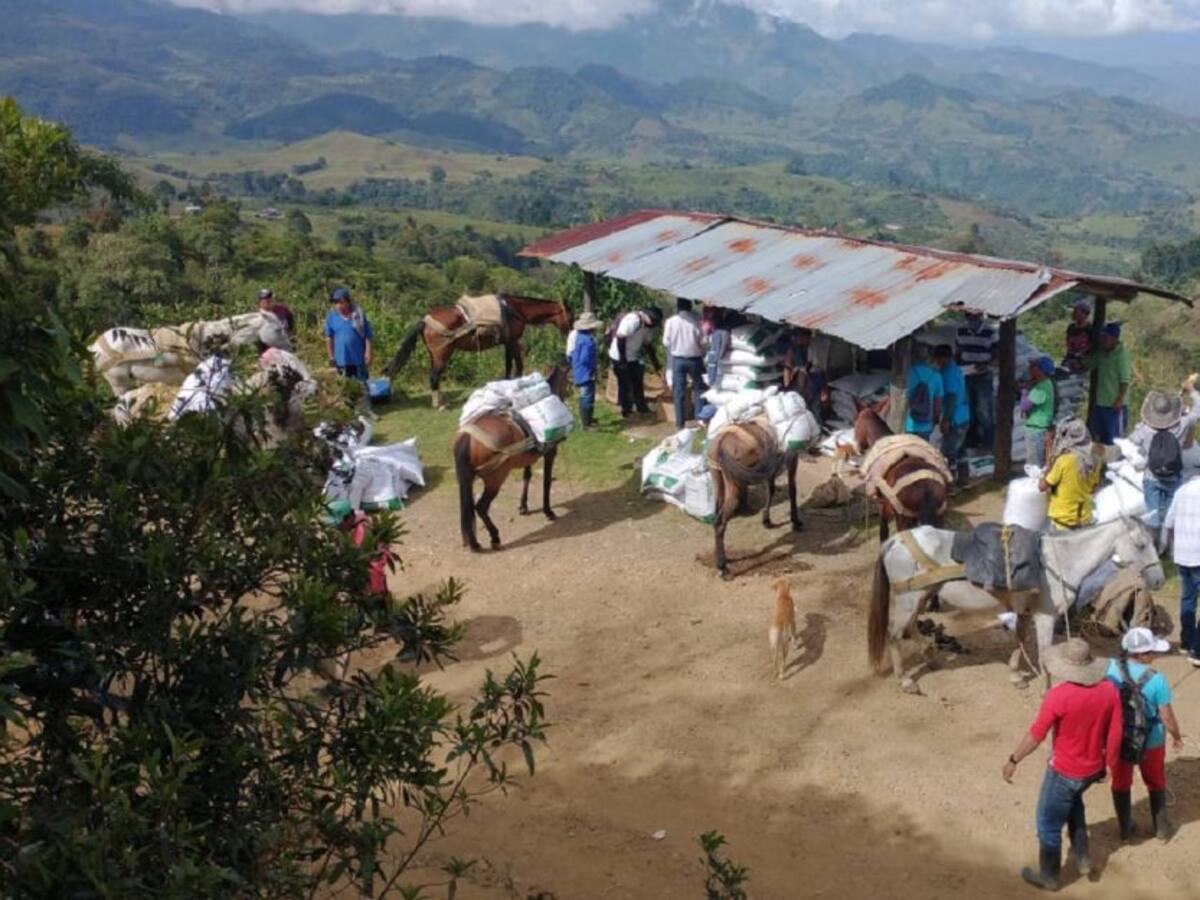 Anuncian paro campesino en Norte de Santander para la próxima semana