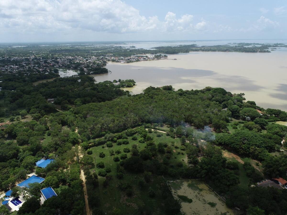 Autoridades ambientales alertan por elevados niveles en la Ciénaga de Ayapel, Córdoba