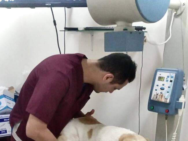 Ataque con explosivos en Guaviare: dos soldados heridos y un perro