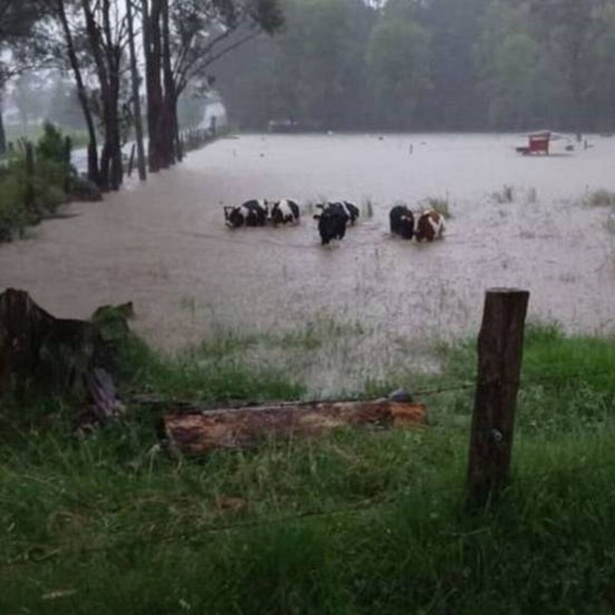 Aumentan a 5.500 las familias campesinas afectadas por el invierno en Boyacá
