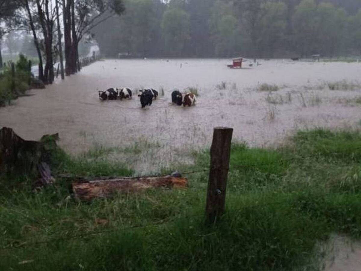 Aumentan a 5.500 las familias campesinas afectadas por el invierno en Boyacá