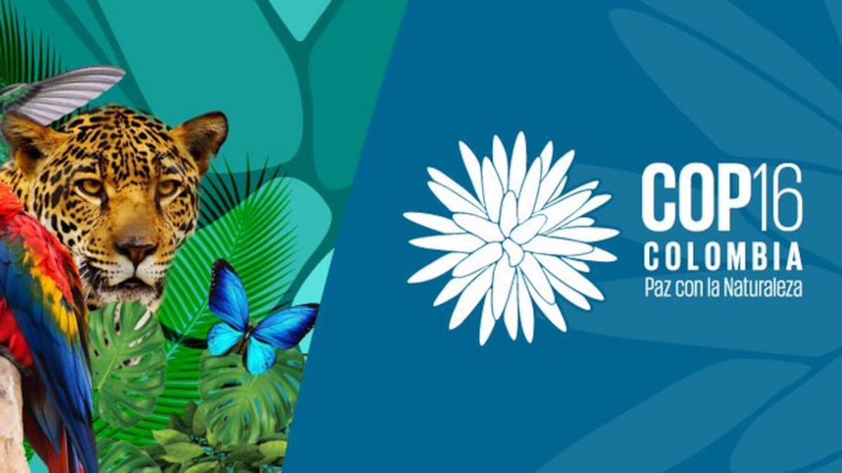 Corantioquia expondrá proyectos antes de la COP16