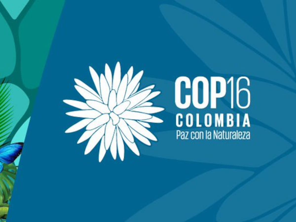 Corantioquia expondrá proyectos antes de la COP16