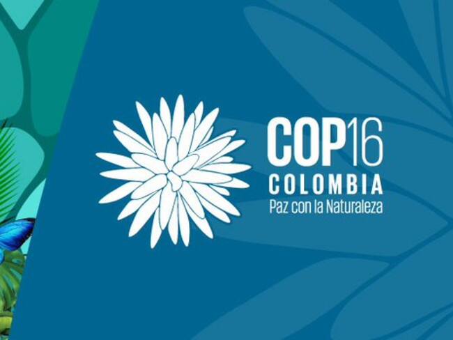 Se espera que la COP16, que se realizará entre el 21 de octubre y 1 de noviembre, congregue más de 12 mil visitantes en la ciudad de Cali.