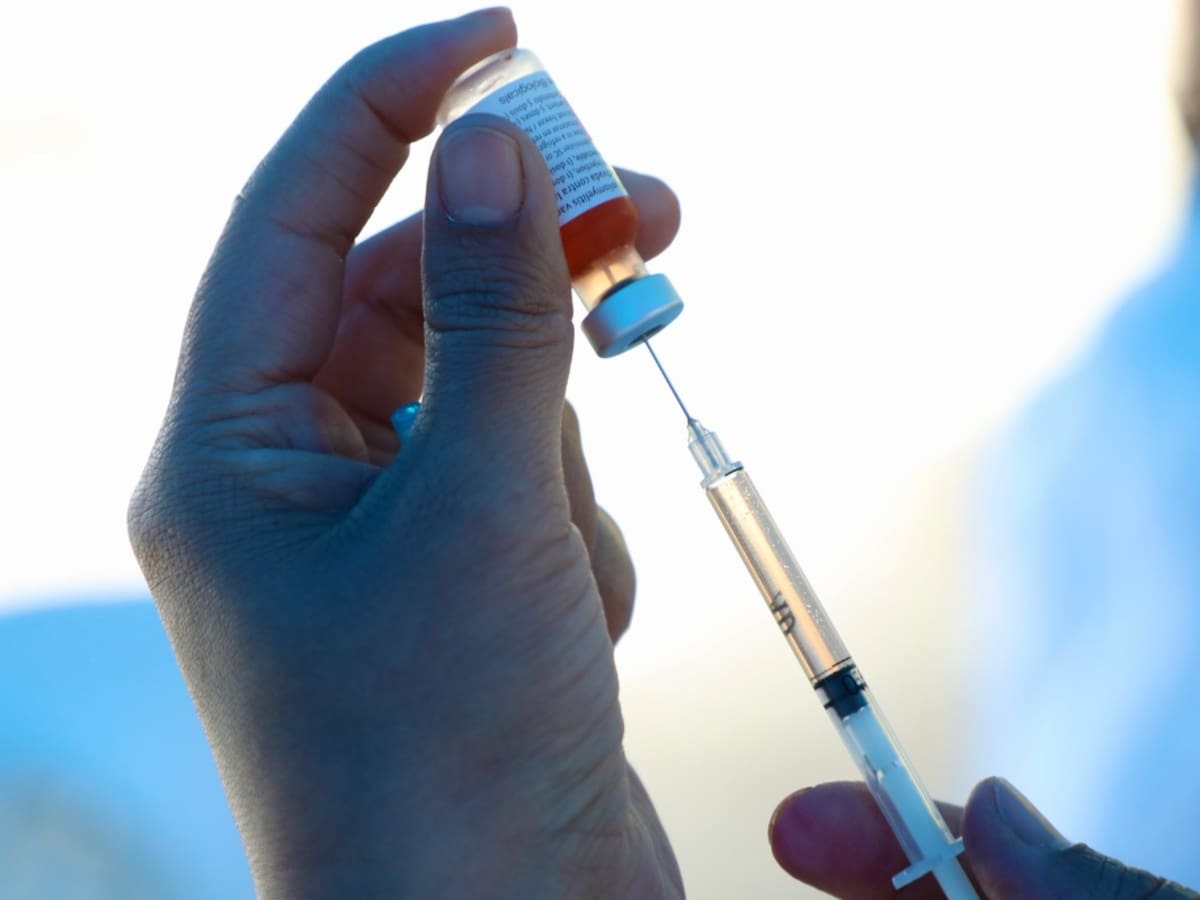 Se han confirmado 34 casos y 18 fallecidos este año por fiebre amarilla en el país: MinSalud