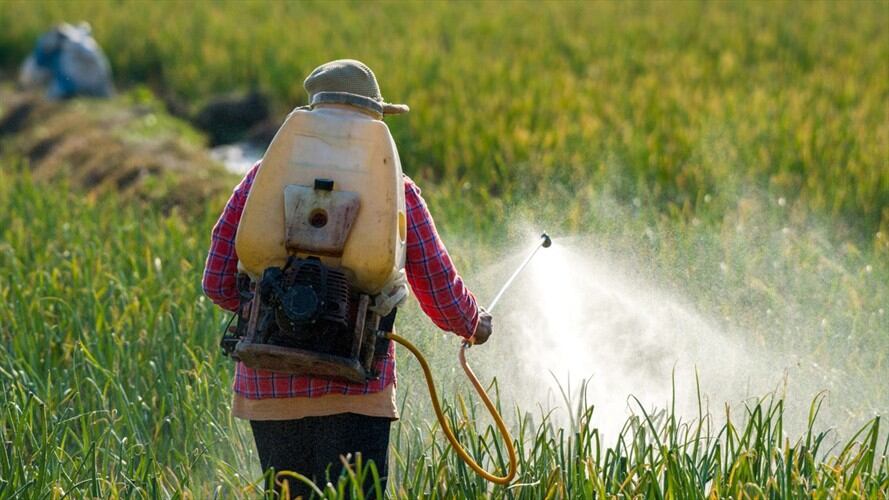 El agricultor Bill Bader aseguró que las dos compañías incentivaban a los agricultores para que utilizaran el herbicida Dicamba sin responsabilidad. Foto: Getty Images