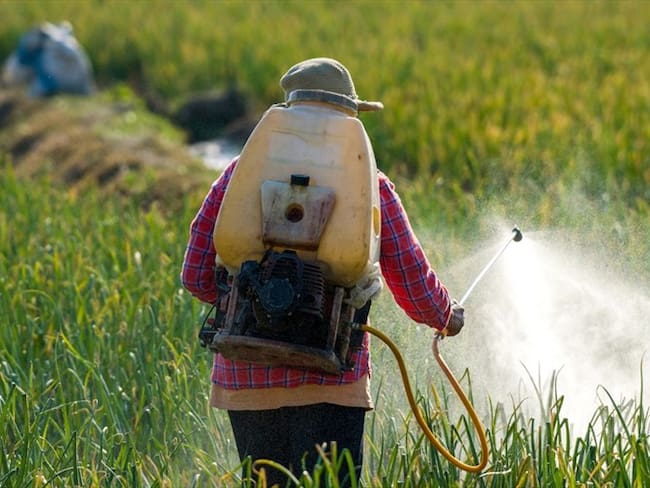 El agricultor Bill Bader aseguró que las dos compañías incentivaban a los agricultores para que utilizaran el herbicida Dicamba sin responsabilidad. Foto: Getty Images