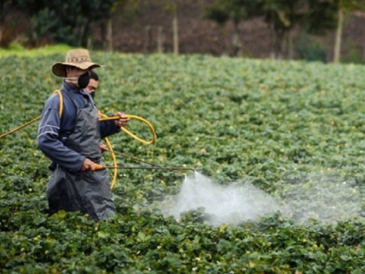 Esta es la novela gráfica que muestra la muerte de una mujer por glifosato
