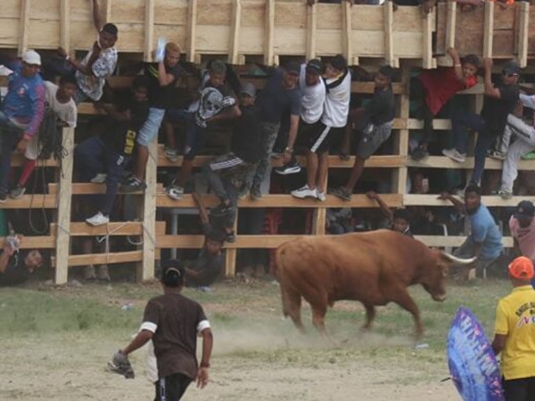 Corraleja en Colombia