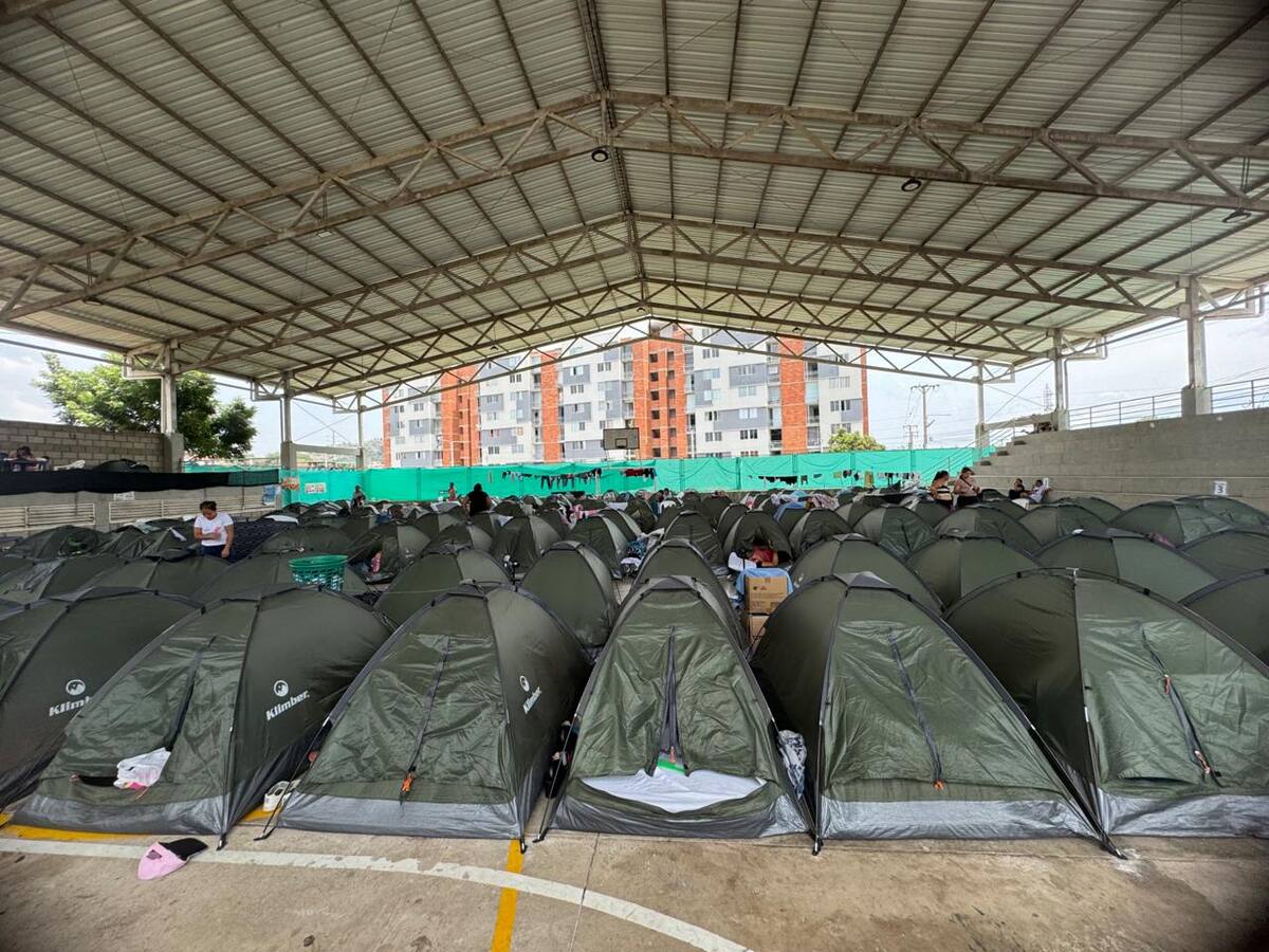 En Cúcuta, más de 500 desplazados del Catatumbo continúan en albergues temporales
