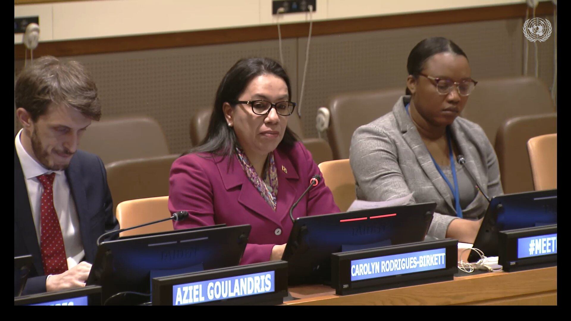 Consejo de Seguridad de la ONU. Foto: cortesía ONU.