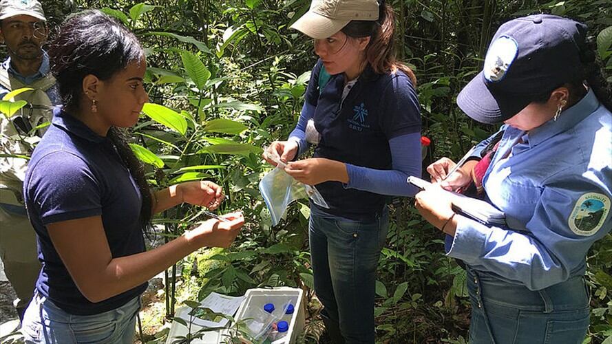 Lluvias aumentan la presencia de mercurio en los Farallones de Cali. Foto: Universidad Nacional de Palmira