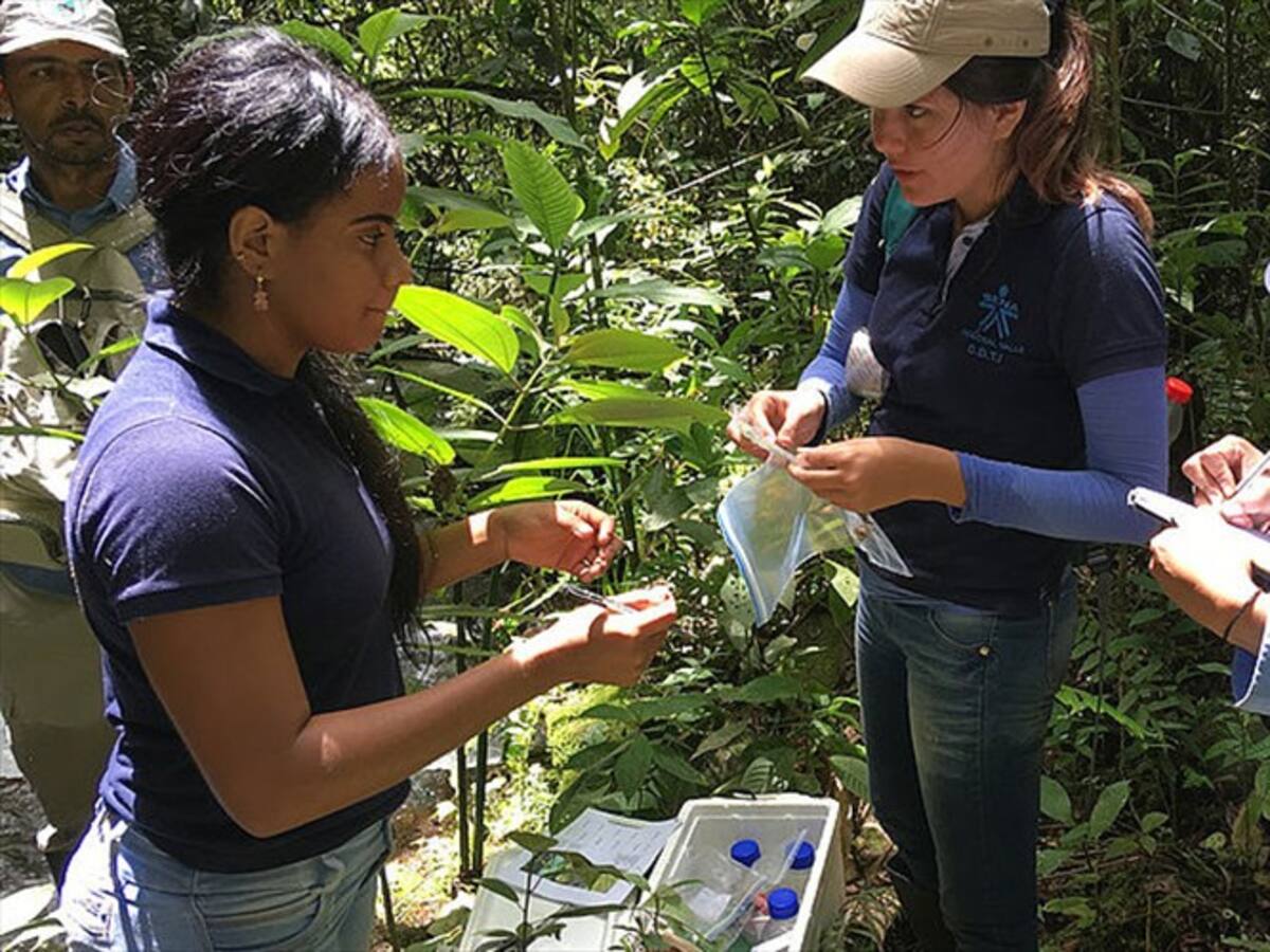 Lluvias aumentan la presencia de mercurio en los Farallones de Cali