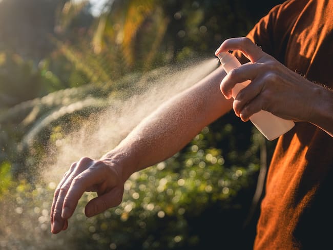 Enfermedades por picadura de insectos: prevención y recomendaciones