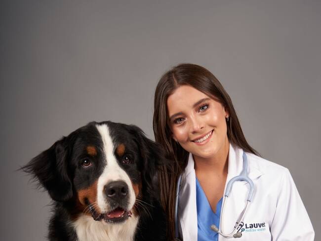 “La clave es la medicina preventiva”: veterinaria habla sobre el cuidado de las mascotas
