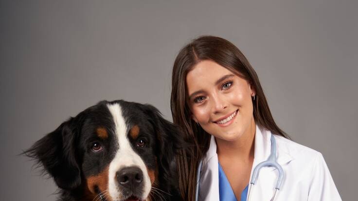 “La clave es la medicina preventiva”: veterinaria habla sobre el cuidado de las mascotas