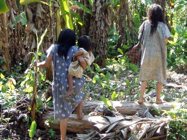 Los tsimané prácticamente no tienen riesgos de cardiopatías, según el estudio. Foto: Associated Press - AP