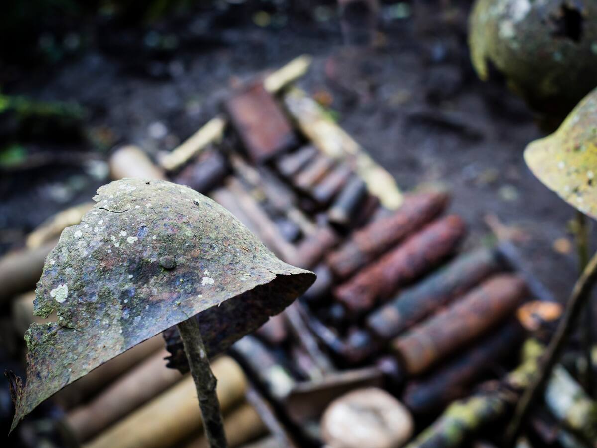 Se conmemoran 80 años de la victoria de los Aliados en Europa y el fin de la Segunda Guerra Mundial