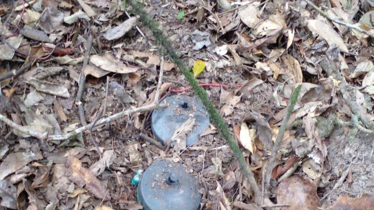 Campesino murió tras la activación de una mina antipersonal en el Cauca