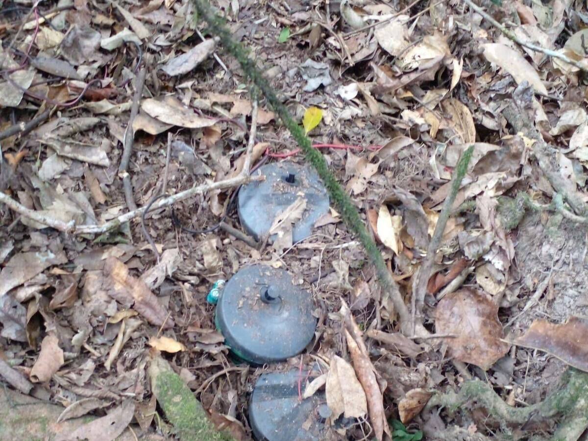 Campesino murió tras la activación de una mina antipersonal en el Cauca