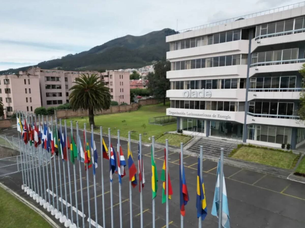 OLADE ofrece apoyo para impulsar transición e integración energética en la región