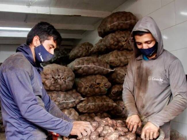 papatón en Bucaramanga. Foto: Suministrada.