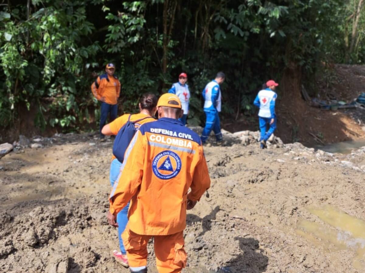 Dos muertos y seis heridos tras derrumbe de mina en Montecristo, Bolívar