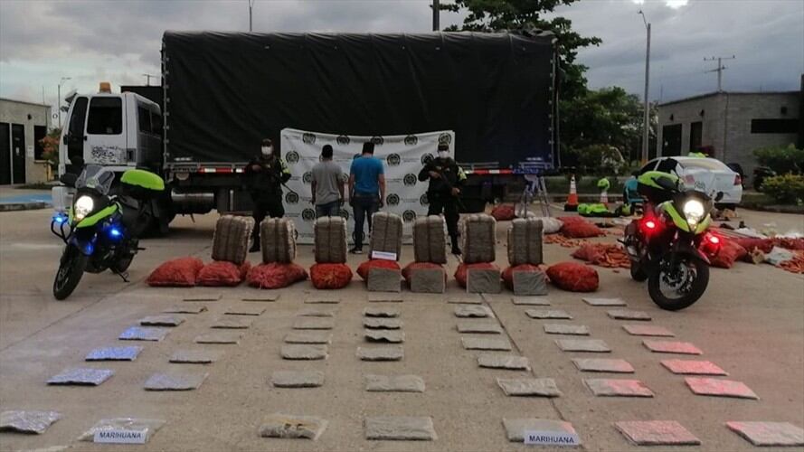 Descubren más de 100 kilos de marihuana entre bultos de zanahoria en Córdoba. Foto: prensa Policía.