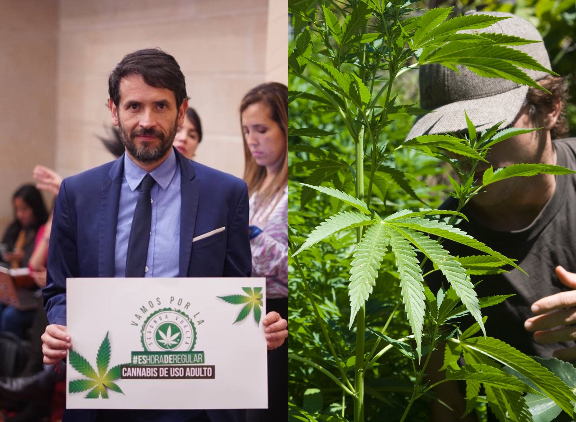 Congresista, Juan Carlos Losada y Cannabis | Fotos: Cortesía y GettyImages