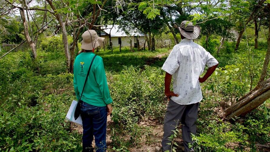 Desplazamiento . Foto: Colprensa