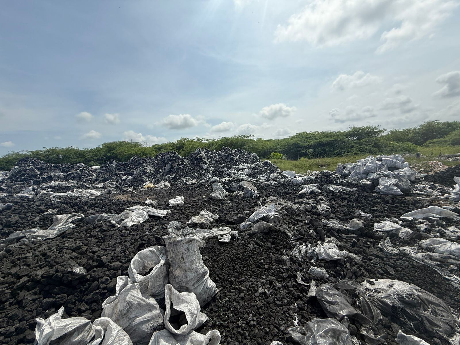 Autoridades incautaron 2000 bultos de carbón en Palermo, Magdalena/ Ejército