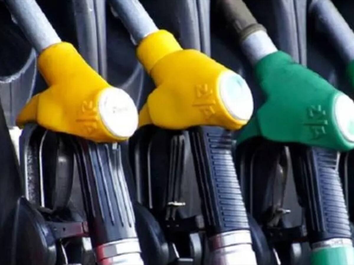 Más de $6.000 millones se han perdido en Febecol por paro nacional