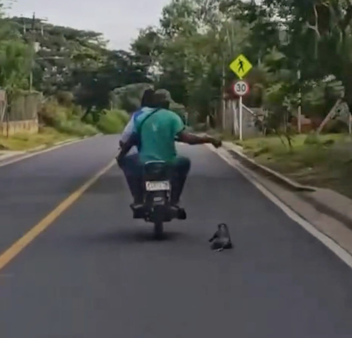 Los hechos se registraron en la vía que conduce de Caloto a Villa Rica. Crédito: Red de Apoyo Cauca.