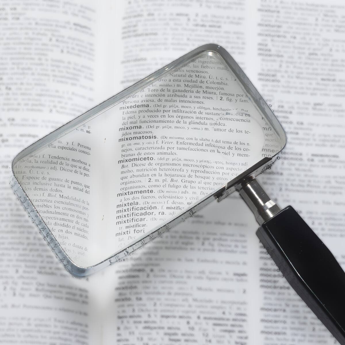 La única palabra que tiene 4 letras consecutivas en orden alfabético: es un verbo conjugado