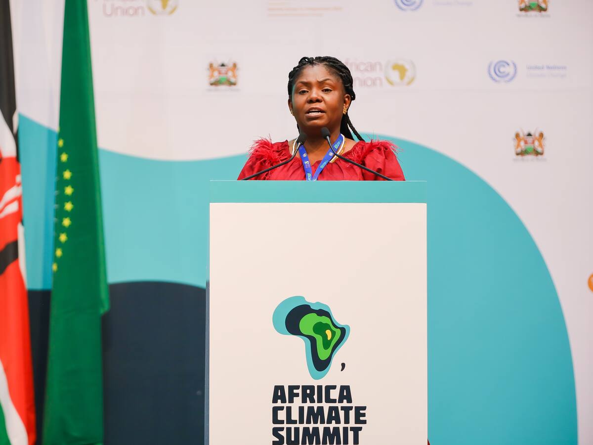 Vicepresidenta insistió en reformar sistema financiero para enfrentar crisis climática