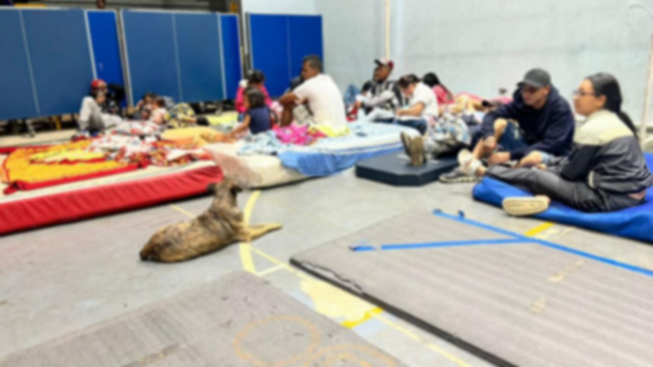 Las familias desplazadas se encuentran albergadas en el Coliseo de Jamundí, donde han empezado a recibir atención por parte de las autoridades locales. Foto: Alcaldía de Jamundí.